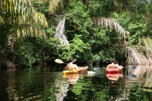 Kayaking in Tortuguero Costa Rica
