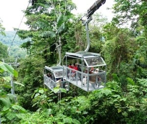 Veragua Rainforest aerial tram