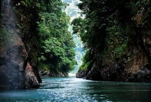 pacuare-rainforest-300x202.jpg?width=300