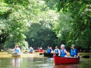 Canoeing on the lagoon at Maquenque Lodge