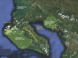 Osa Peninsula map, courtesy of Osa Conservation
