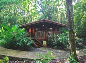 Playa Nicuesa bungalows in the jungle