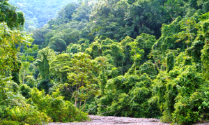 Piedras-Blancas-National-Park-300x179.png?width=300