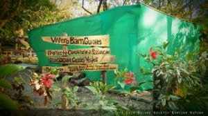 BarriGuiones Coastal Reforestation Project nursery at Playa Guiones