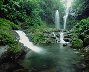 Costa Rica rainforest