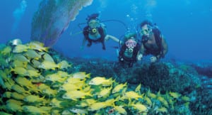Scuba diving on Costa Rica Caribbean Coast