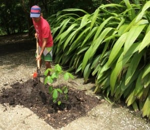 Tree planting L'acqua Viva 04