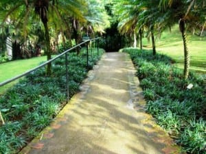 Else Kientzler gardens are accessible