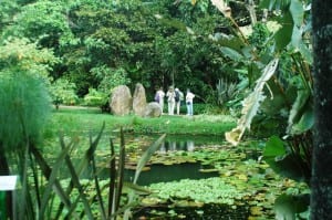 Else Kientzler Botanic Garden in Sarchi Costa Rica