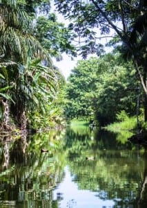 Tortuguero canal by Lirio Lodge