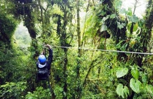 Canopy zipline, image by ICT