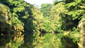 Lagoon by Lirio Lodge Costa Rica