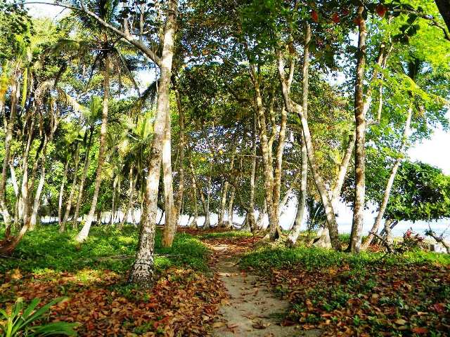 Beach trail by Playa Cocles, Costa Rica Southern Caribbean