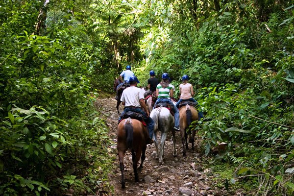 Monteverde-to-La-Fortuna-Horseback-Riding