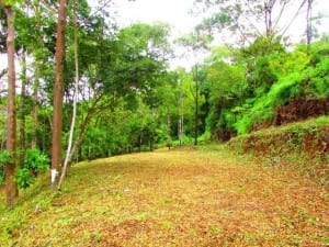 Portasol Lot 6 for sale in Costa Rica