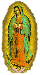 The legend of the virgin of guadalupe - Nude pics Adult archive Girls wrestling in bikini