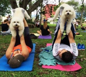 Dog yoga Costa Rica