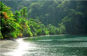 Playa Nicuesa, Golfo Dulce