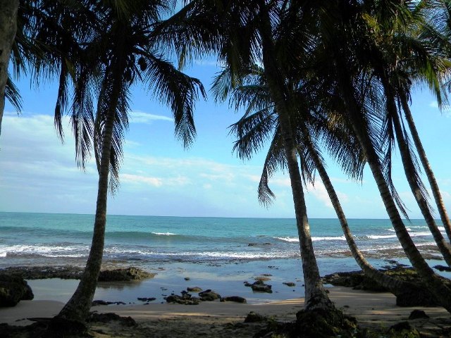 Costa Rica Southern Caribbean Coast
