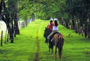 Horse ride at Hacienda Guachipelin