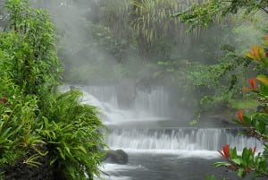 Thermal hot springs at Arenal Volcano, Tabacon Resort