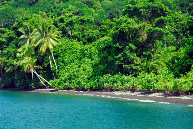 Beach at Playa Nicuesa Rainforest Lodge, Golfo Dulce