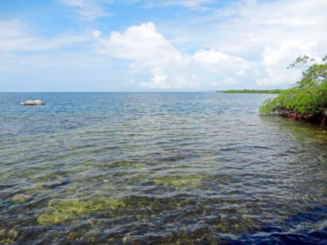 Coral reef in front of Laguna Azul Hotel