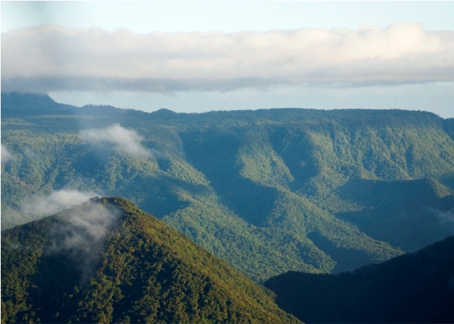 Costa Rica rainforest