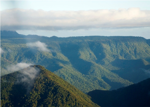 Costa Rica national park Braulio Carrillo