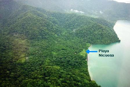 Playa Nicuesa on Golfo Dulce from the air