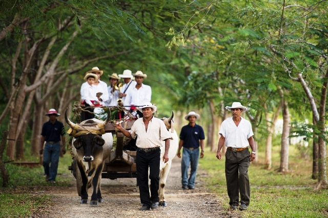 Guanacaste Costa Rica