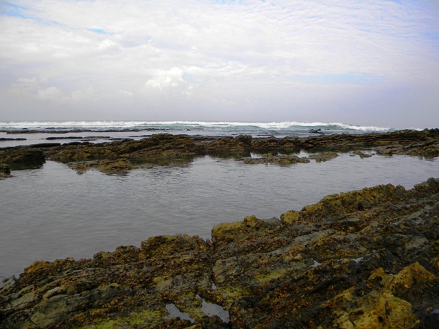 Playa Hermosa Costa Rica tidepool