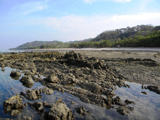 Playa Hermosa Costa Rica tidepool