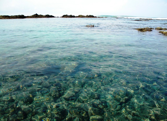 Playa Hermosa Costa Rica tidepool