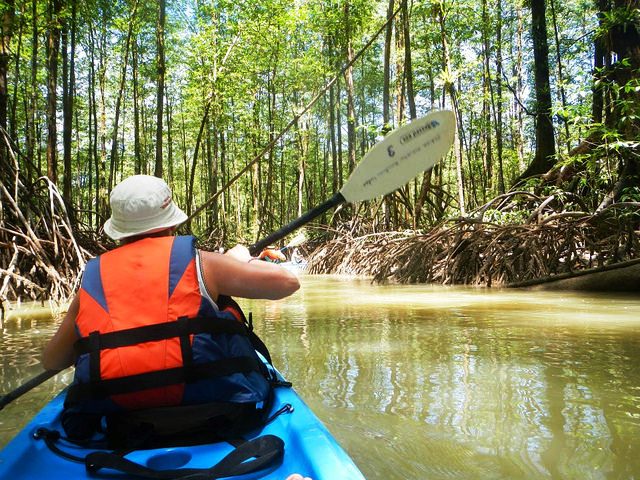 Mangrove kayaking at Playa Nicuesa Lodge in Costa Rica