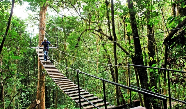 Canopy tour at El Establo Hotel in Monteverde Costa Rica