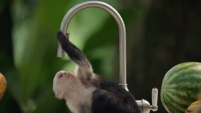 What Is The Song In The Ikea Kitchen Commercial What Is The Song In The Ikea Kitchen Commercial