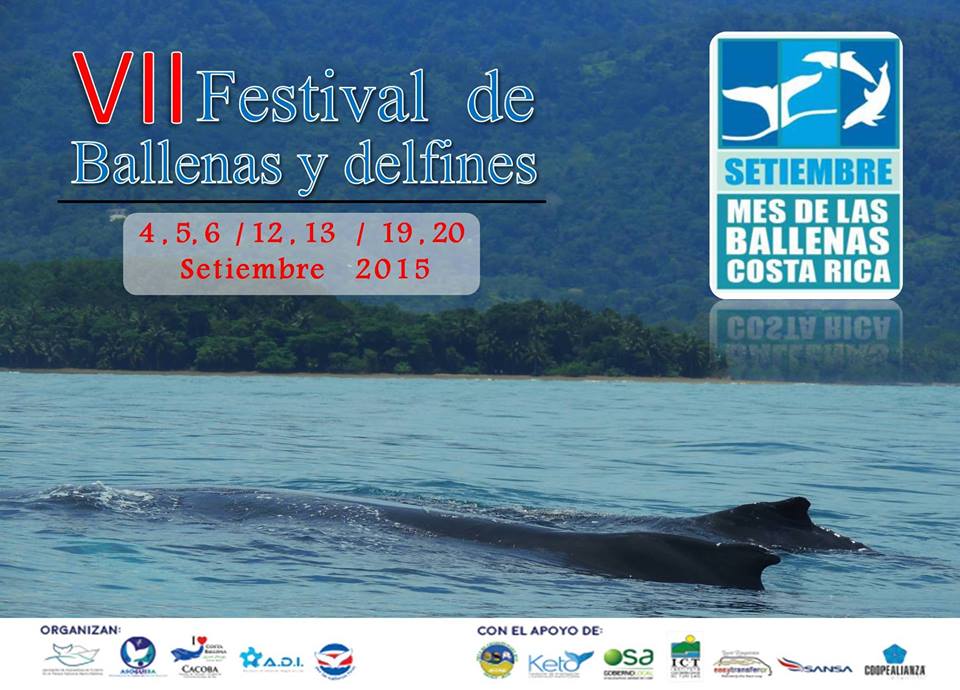Whale Festival 2015 in southern Costa Rica