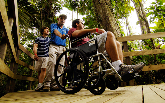 Accessible rainforest trails at Veragua Rainforest adventure park