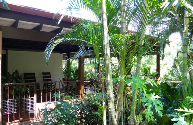 Costa Rica house terrace shade