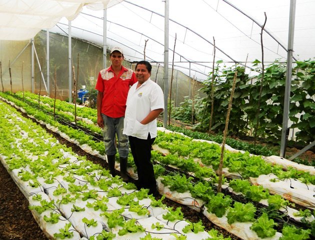Hacienda Guachipelin restaurant hydroponic greenhouse