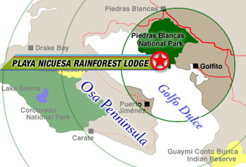 Map location of Playa Nicuesa Rainforest Lodge