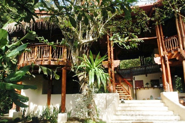 Playa Nicuesa treehouse main lodge