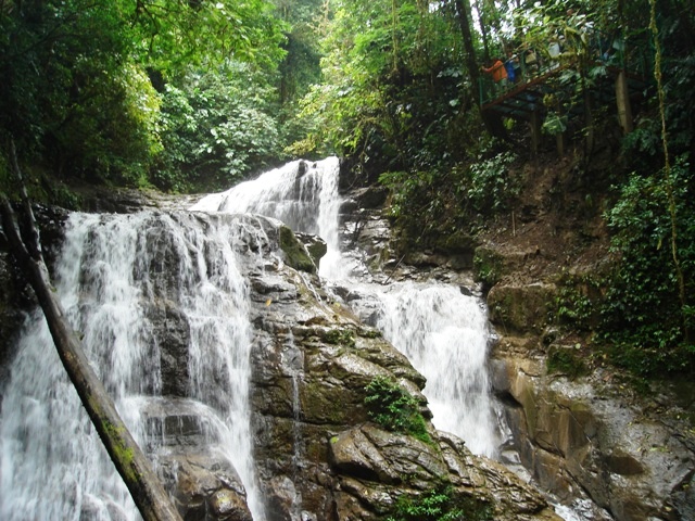 Rainforest waterfalls at Veragua