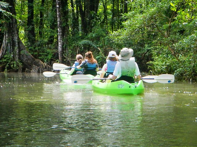 Rio Esquinas mangrove kayaking