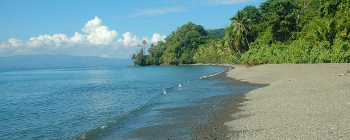 Beach at Playa Nicuesa Rainforest Lodge