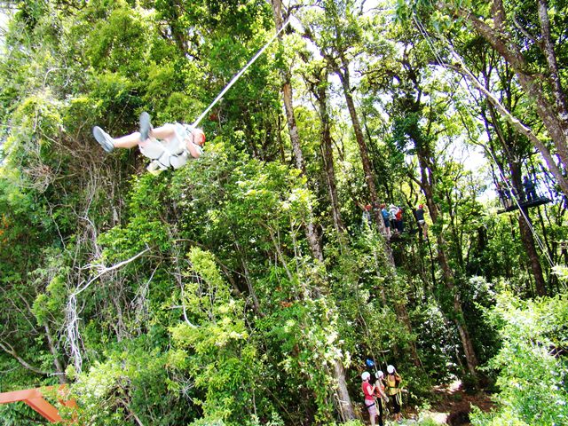 Canopy tour Tarzan Swing at El Establo Hotel in Monteverde Costa Rica