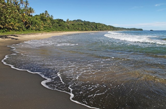 Playa Cocles Costa Rica