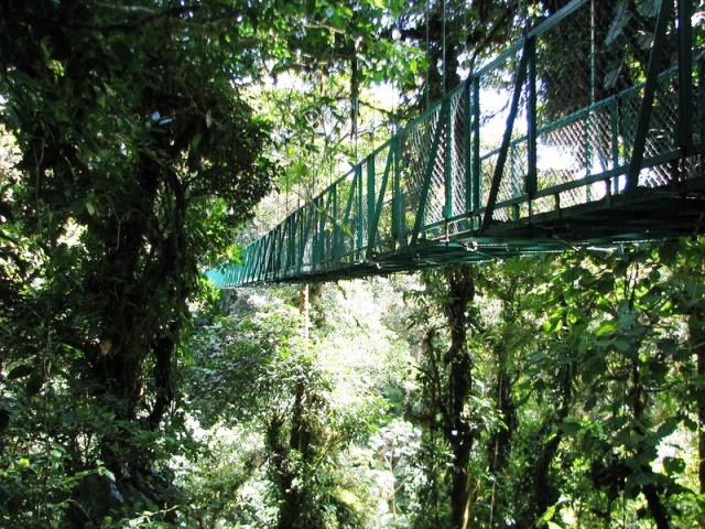 Selvatura hanging bridges in Monteverde Costa Rica