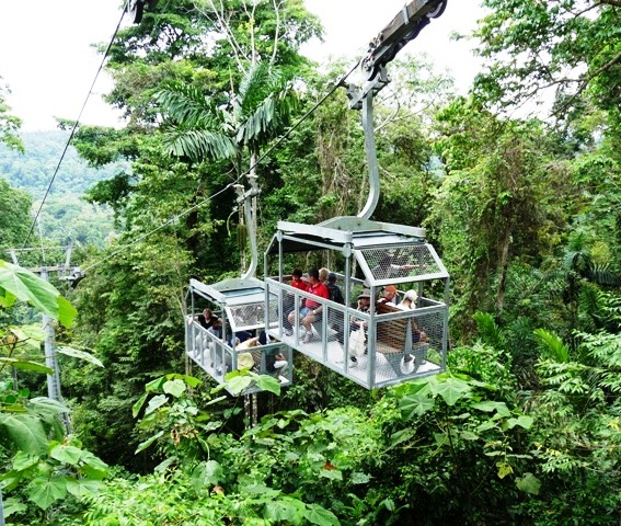 Veragua Rainforest aerial tram